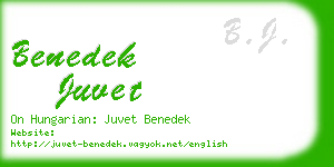benedek juvet business card